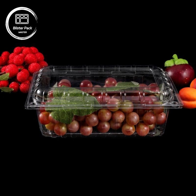 Contenants de fruits en PET transparents à coquille de grenouille Boîtes en plastique jetables avec couvercle pour les emballages de litchi et de raisins