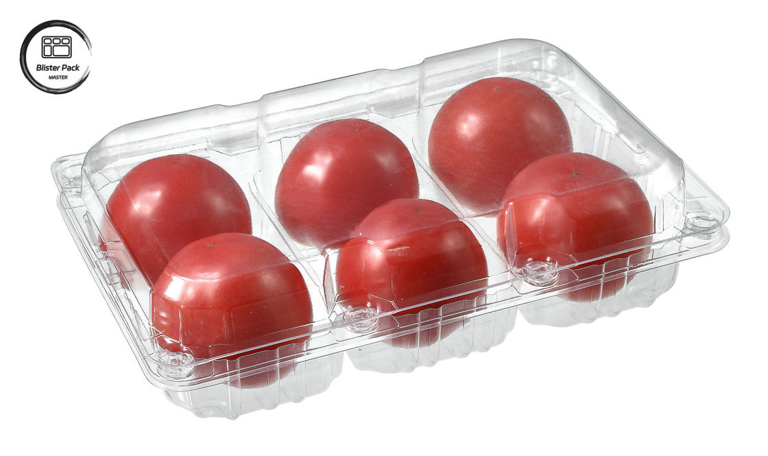 Contenant à fruits jetables en plastique rectangulaire à 6 pièces