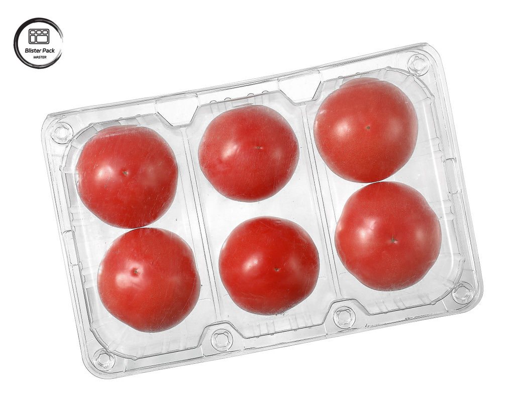 Contenant à fruits jetables en plastique rectangulaire à 6 pièces