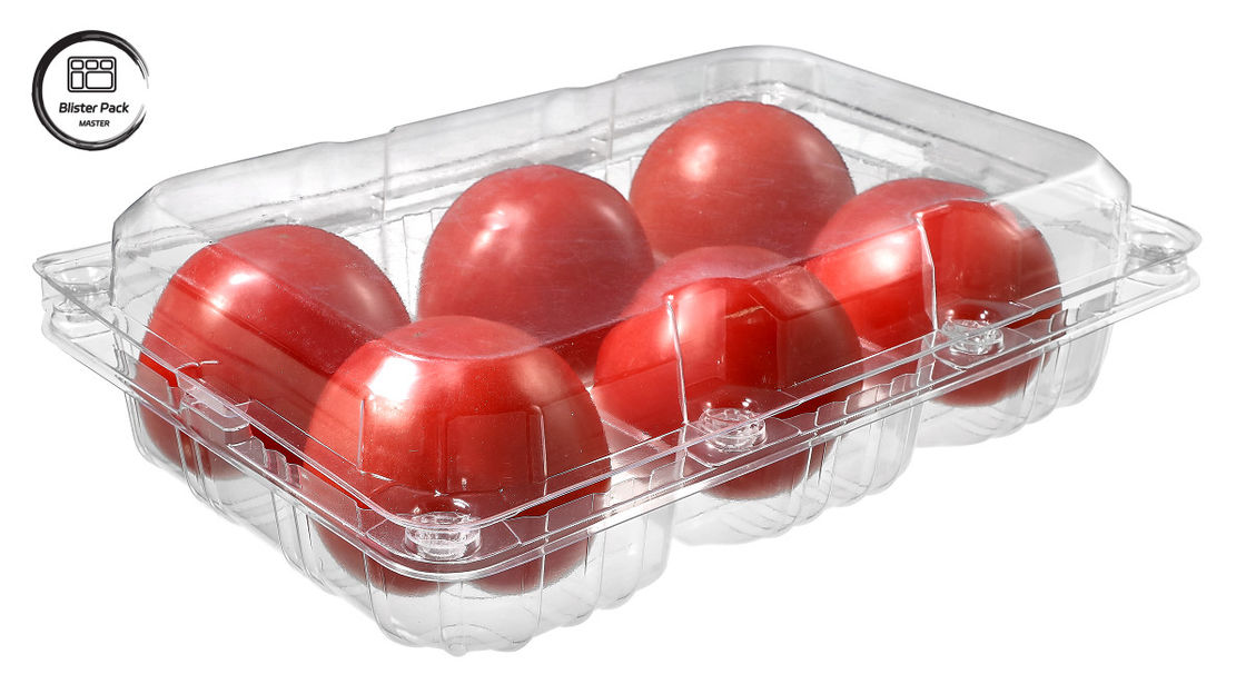 Contenant à fruits jetables en plastique rectangulaire à 6 pièces