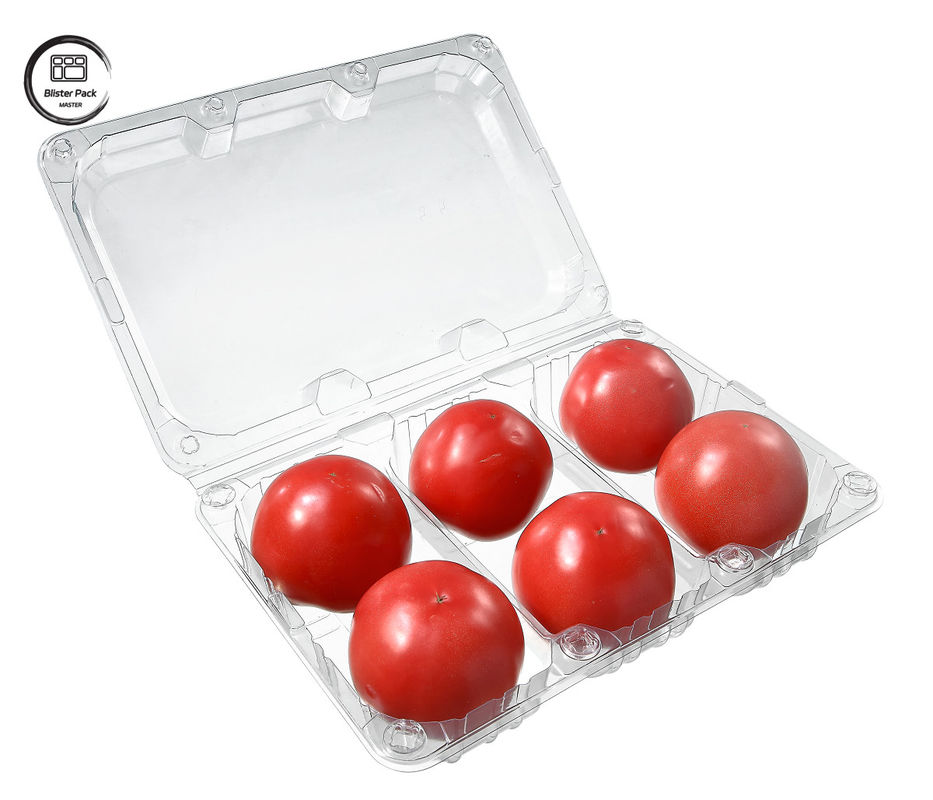 Contenant à fruits jetables en plastique rectangulaire à 6 pièces