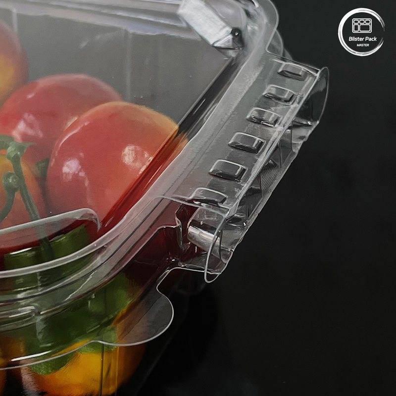Containers écologiques pour la salade 16 et 24 oz avec couvercles attachés pour les produits frais