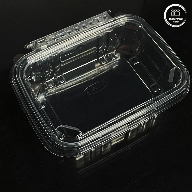 Containers écologiques pour la salade 16 et 24 oz avec couvercles attachés pour les produits frais