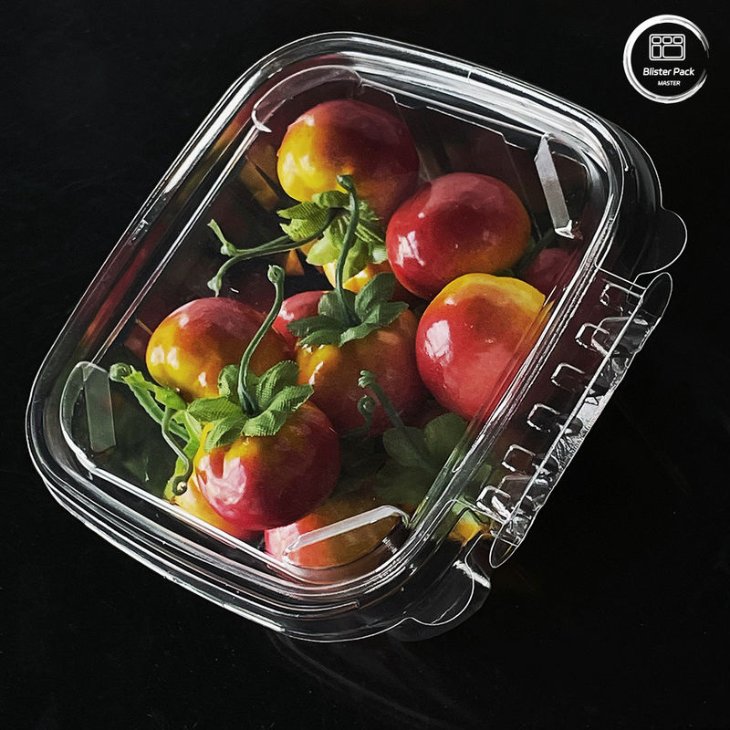 Containers écologiques pour la salade 16 et 24 oz avec couvercles attachés pour les produits frais
