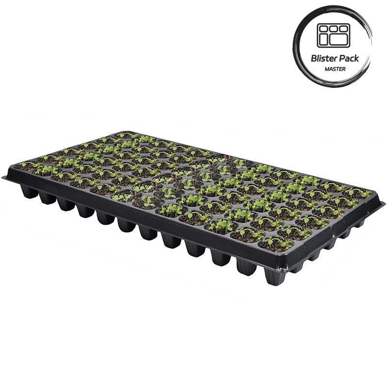 Polystyrène à main jetant du riz semis plateau en plastique extra-profond semeur avec plusieurs options de trous (128 à 648 cellules)