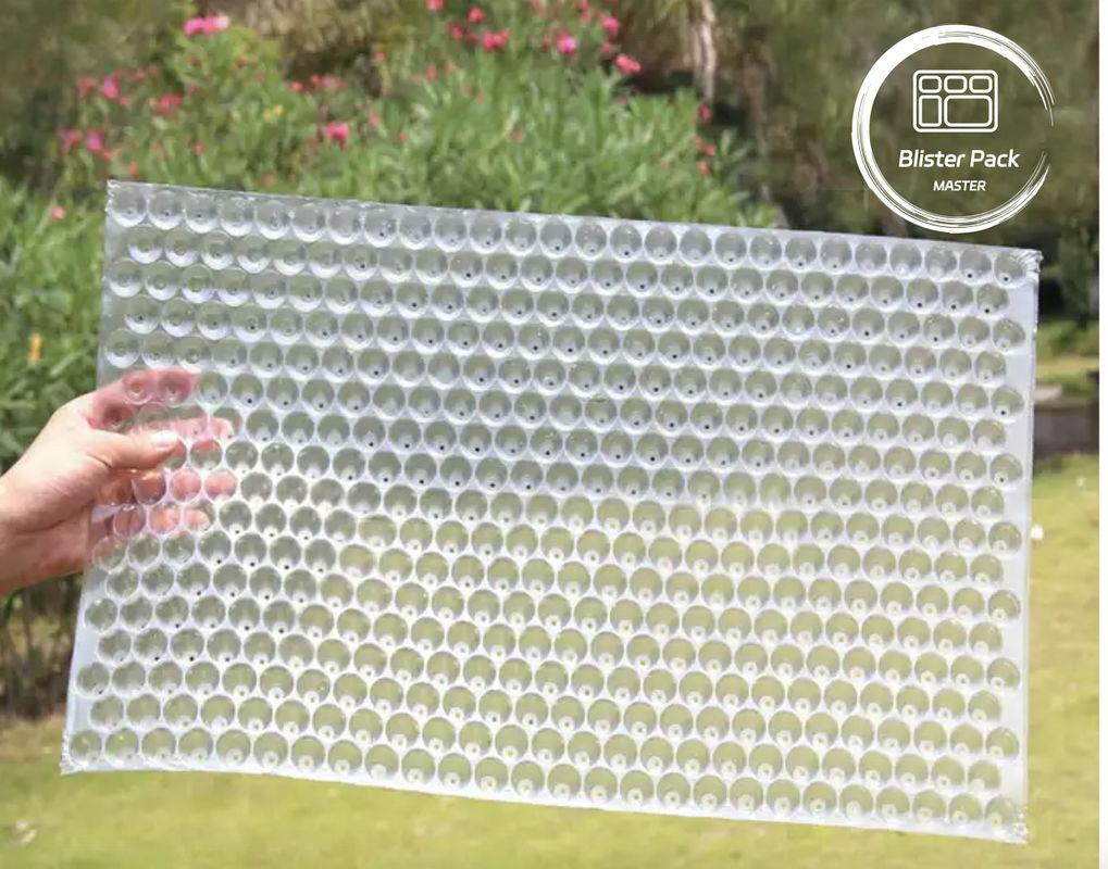 Polystyrène à main jetant du riz semis plateau en plastique extra-profond semeur avec plusieurs options de trous (128 à 648 cellules)