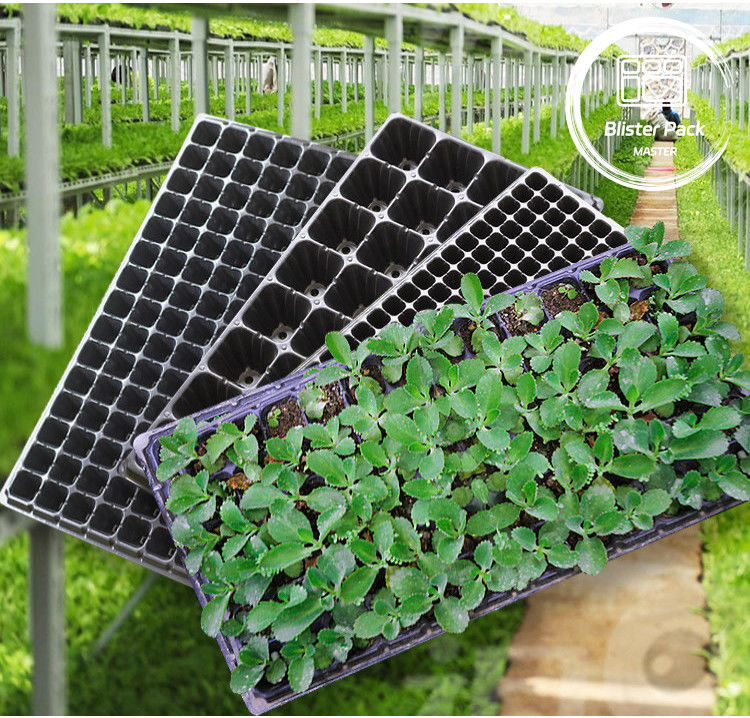 Plateaux de germination de semences multicellulaires durables de 21 à 128 cellules pour les légumes et les fleurs