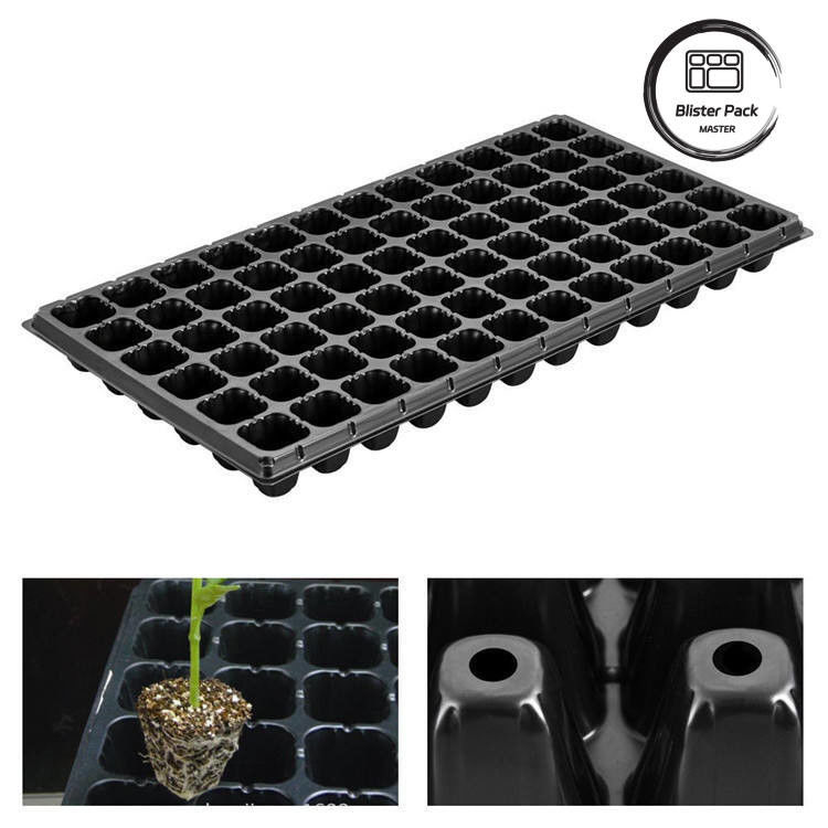105 Plantation cellulaire Plateau de démarrage pour la germination Système pratique de propagation des plantes multicellulaires