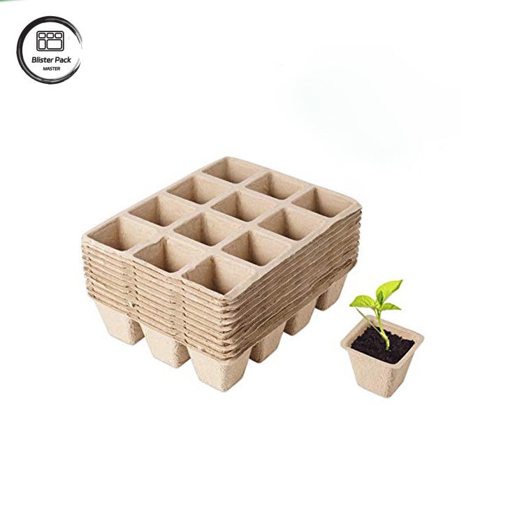 Baguette de canne à sucre biodégradable personnalisée à base de plantes à 12 cellules