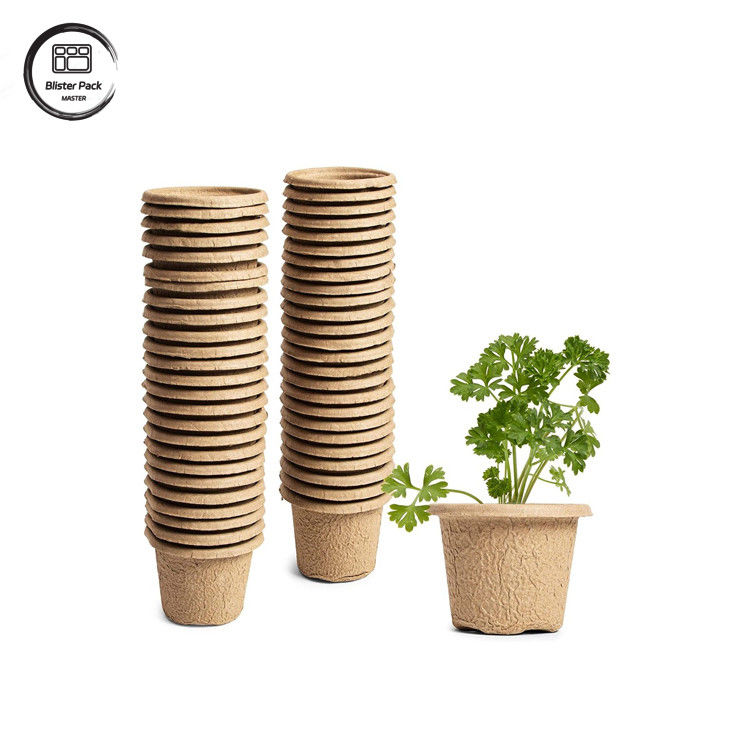 Baguette de canne à sucre biodégradable personnalisée à base de plantes à 12 cellules