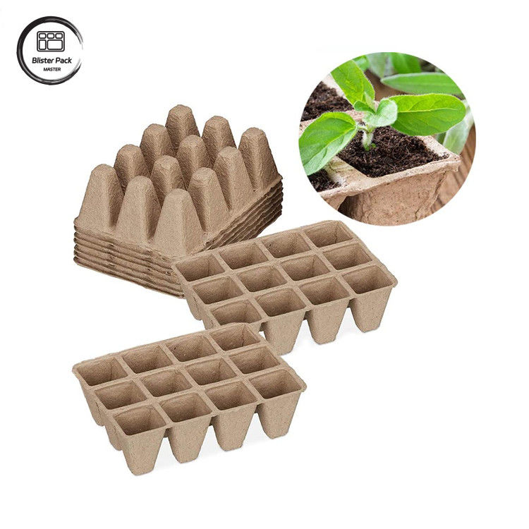 Baguette de canne à sucre biodégradable personnalisée à base de plantes à 12 cellules