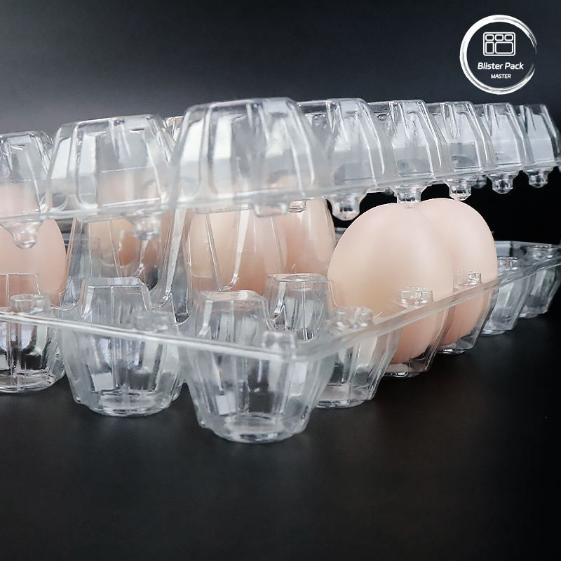 Plateau biodégradable pour les ampoules d'œufs 30 détenteurs d'œufs recyclables à prix compétitif