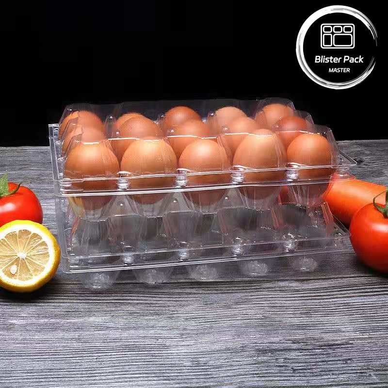 15 Plateaux d'œufs en plastique transparent à charnière à cellules, plateaux d'expédition en plastique thermoformés sécurisés
