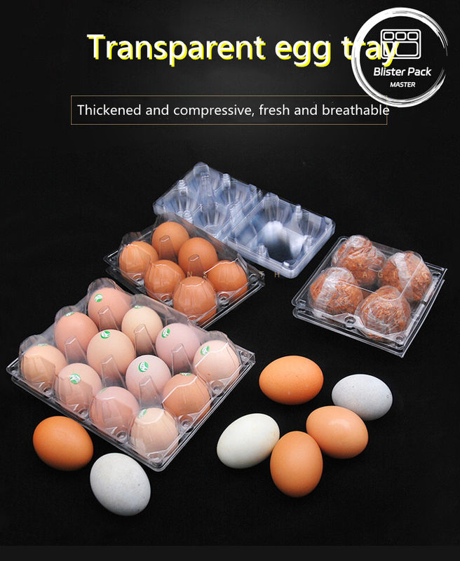 15 Plateaux d'œufs en plastique transparent à charnière à cellules, plateaux d'expédition en plastique thermoformés sécurisés