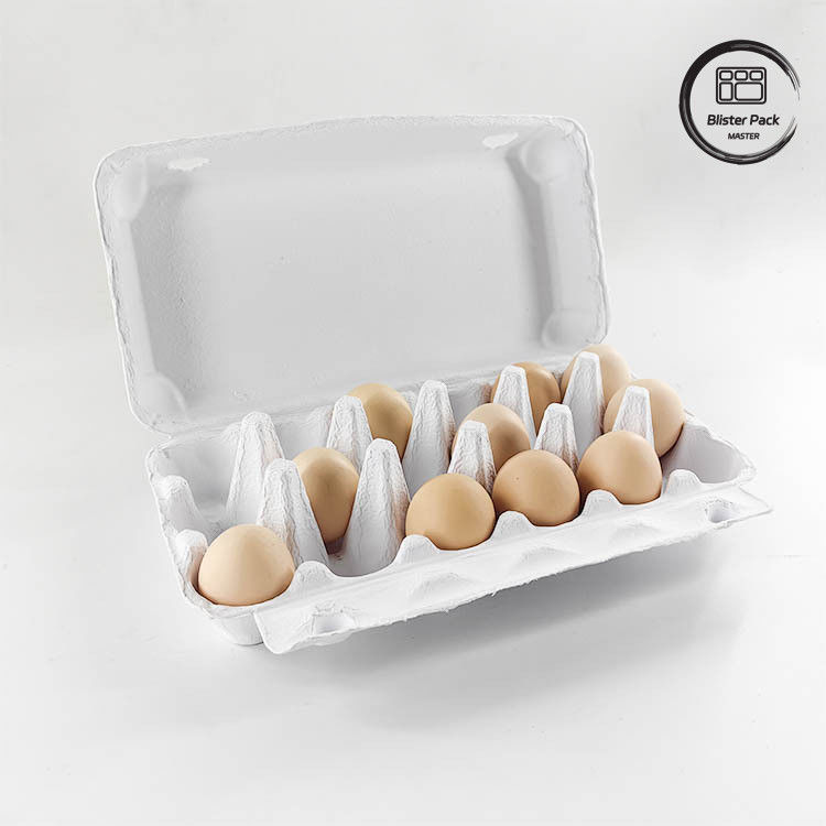 Emballage d'œufs de caille écologique sur mesure 12 6 4 Boîte de pâte en papier Cartons d'œufs pour œufs de poule