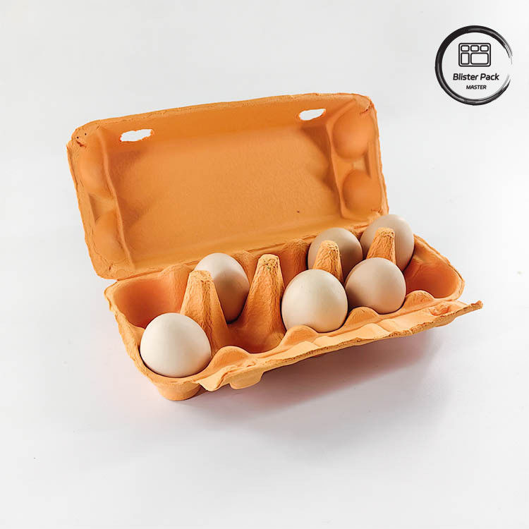 Emballage d'œufs de caille écologique sur mesure 12 6 4 Boîte de pâte en papier Cartons d'œufs pour œufs de poule
