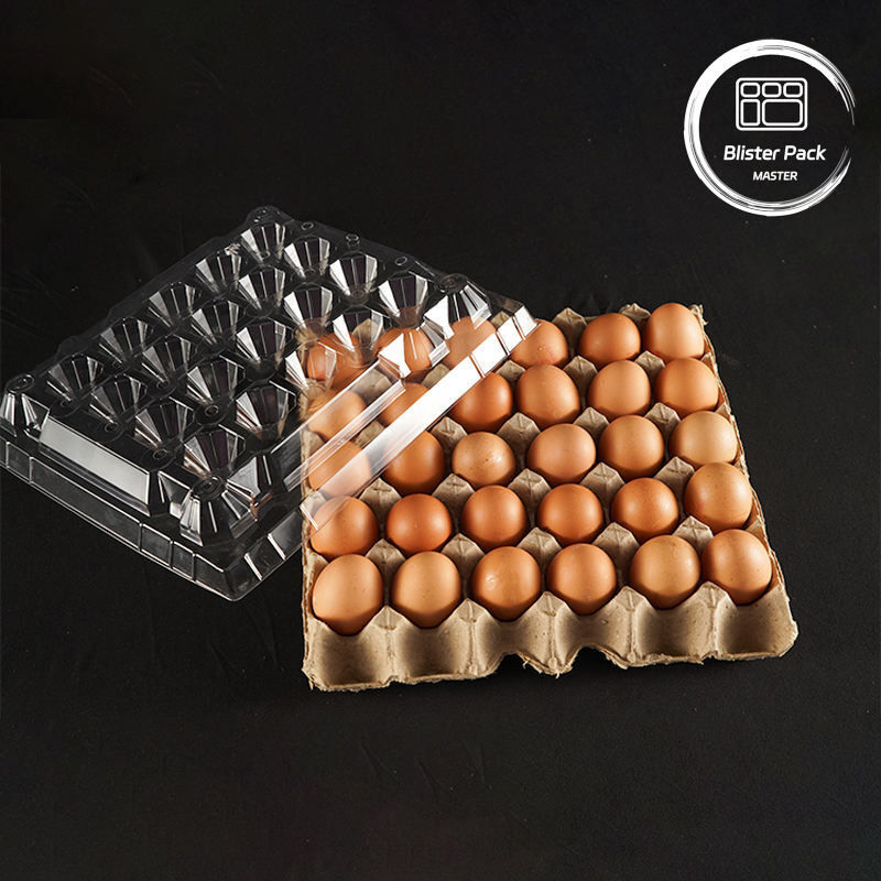 Emballage de plateau d'œufs en plastique PET Cartons à 30 trous en taille S/M/L avec fond en papier