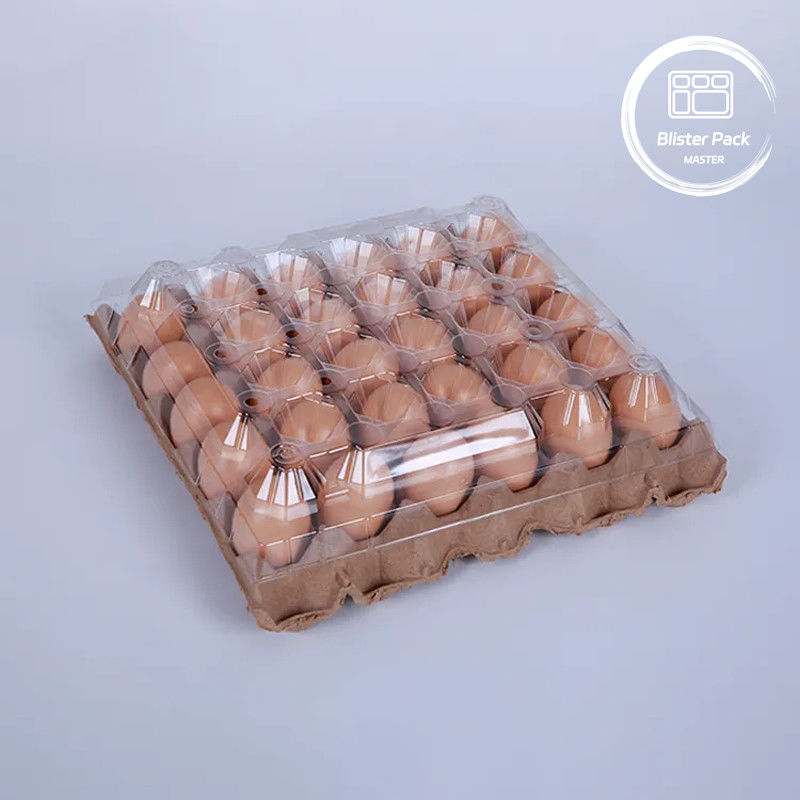 Emballage de plateau d'œufs en plastique PET Cartons à 30 trous en taille S/M/L avec fond en papier