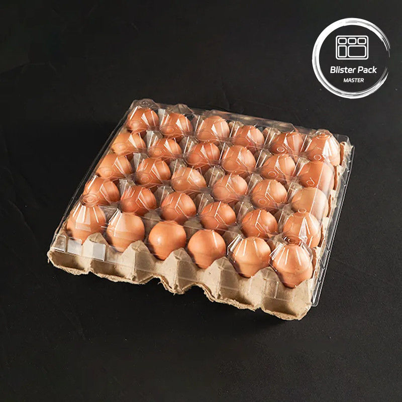 20/24/30 Cellule PET Plateau d'œufs en plastique transparent Plateau jetable d'œufs de poulet de caille Emballage avec couvercle