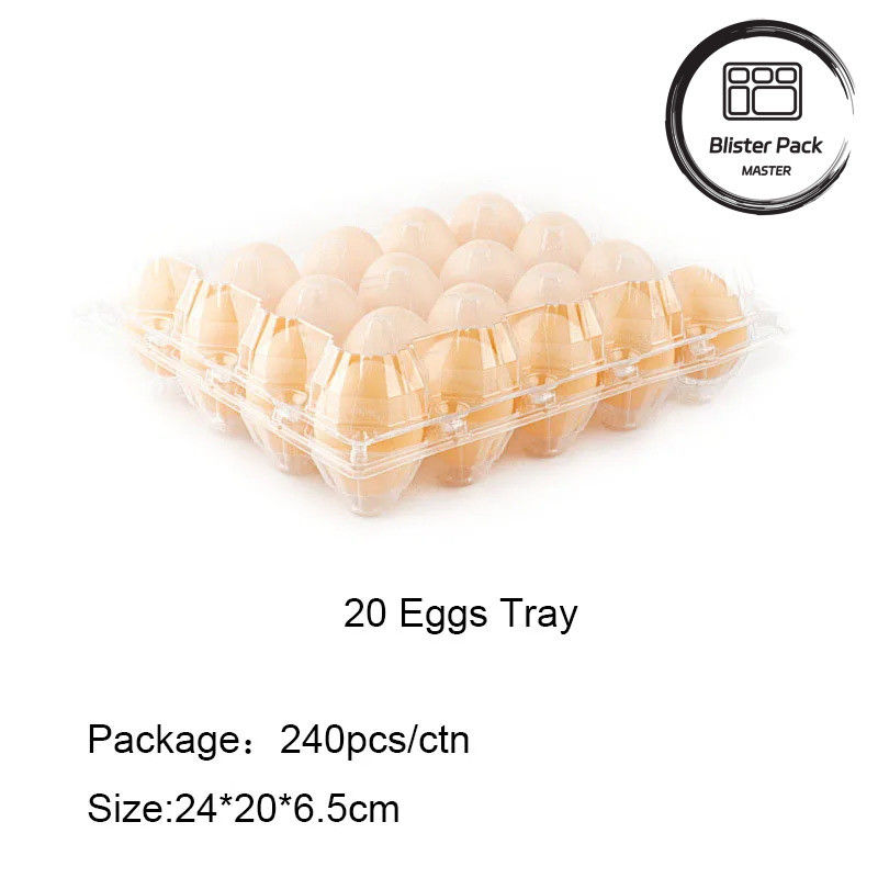 Plateau à œufs en plastique transparent 4 à 30 œufs Boîte à ampoules