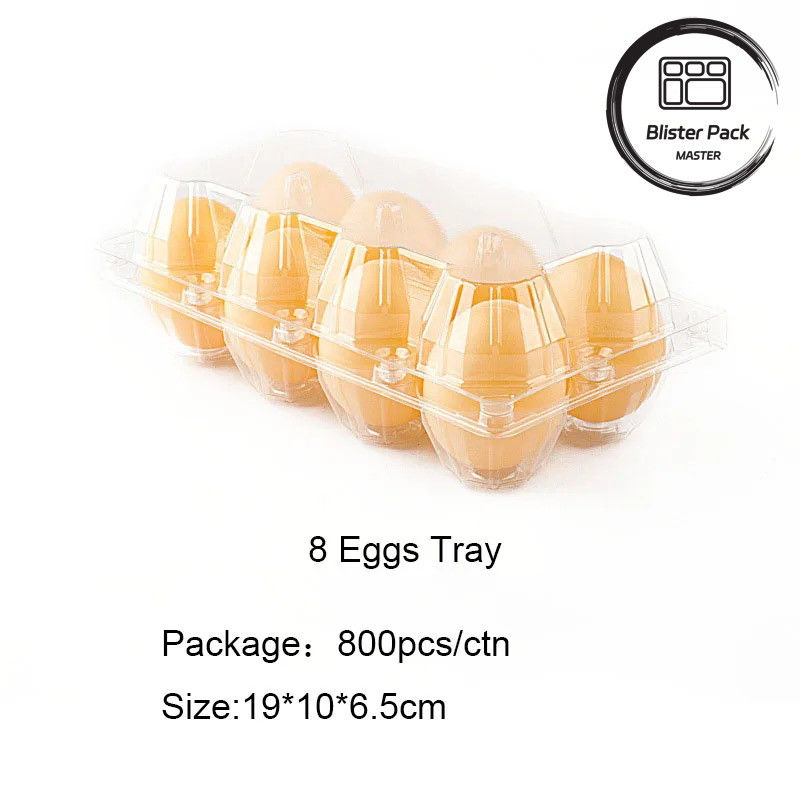 Plateau à œufs en plastique transparent 4 à 30 œufs Boîte à ampoules