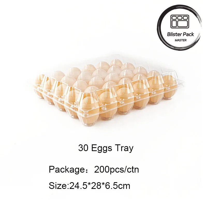 Plateau à œufs en plastique transparent 4 à 30 œufs Boîte à ampoules