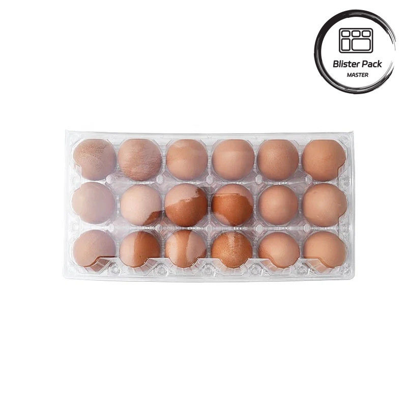 28 trous thermoplastique personnalisé transparent PET plastique transparent plateau à ampoules d'œufs pour les œufs de poule