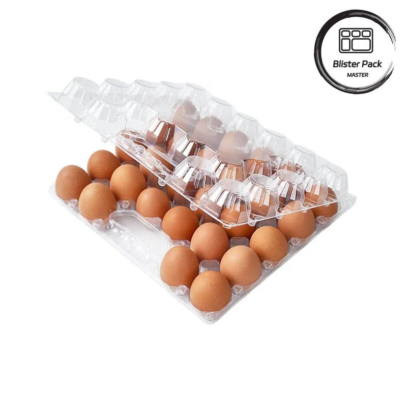 28 trous thermoplastique personnalisé transparent PET plastique transparent plateau à ampoules d'œufs pour les œufs de poule