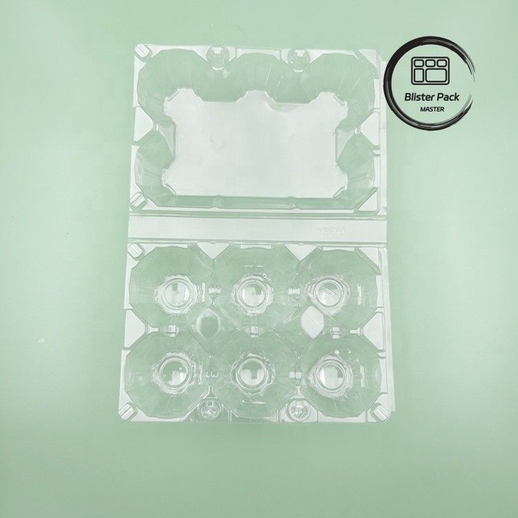 6 Boîtes d'œufs en plastique Boîtes d'œufs durables pour un stockage sécurisé