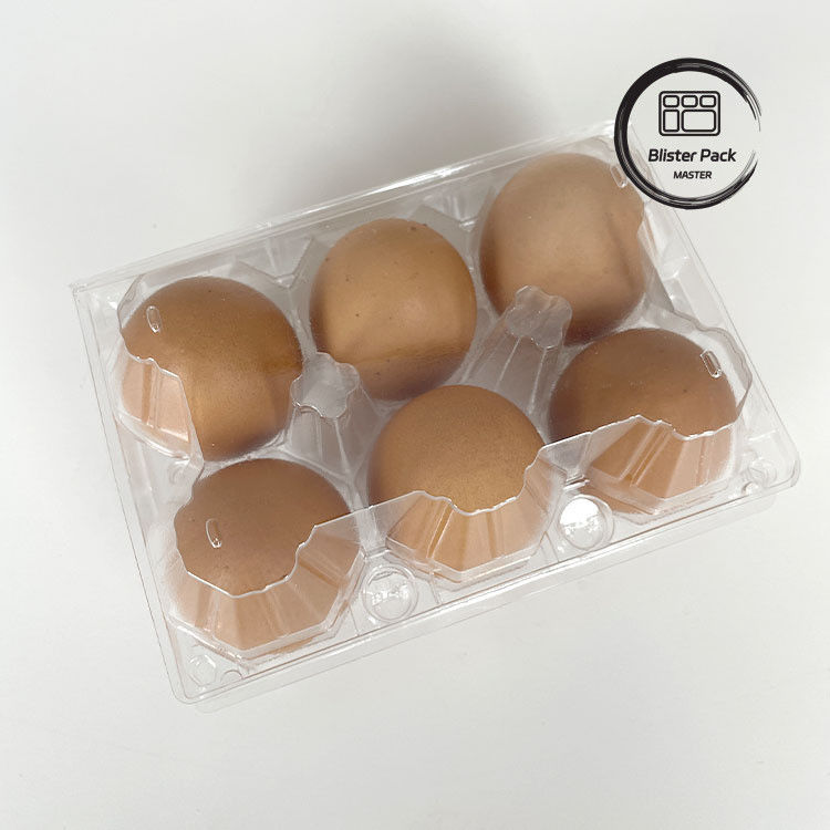 6 Boîtes d'œufs en plastique Boîtes d'œufs durables pour un stockage sécurisé