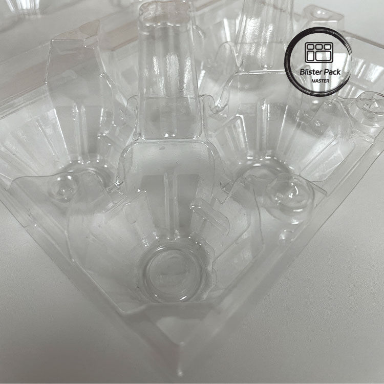 6 Boîtes d'œufs en plastique Boîtes d'œufs durables pour un stockage sécurisé