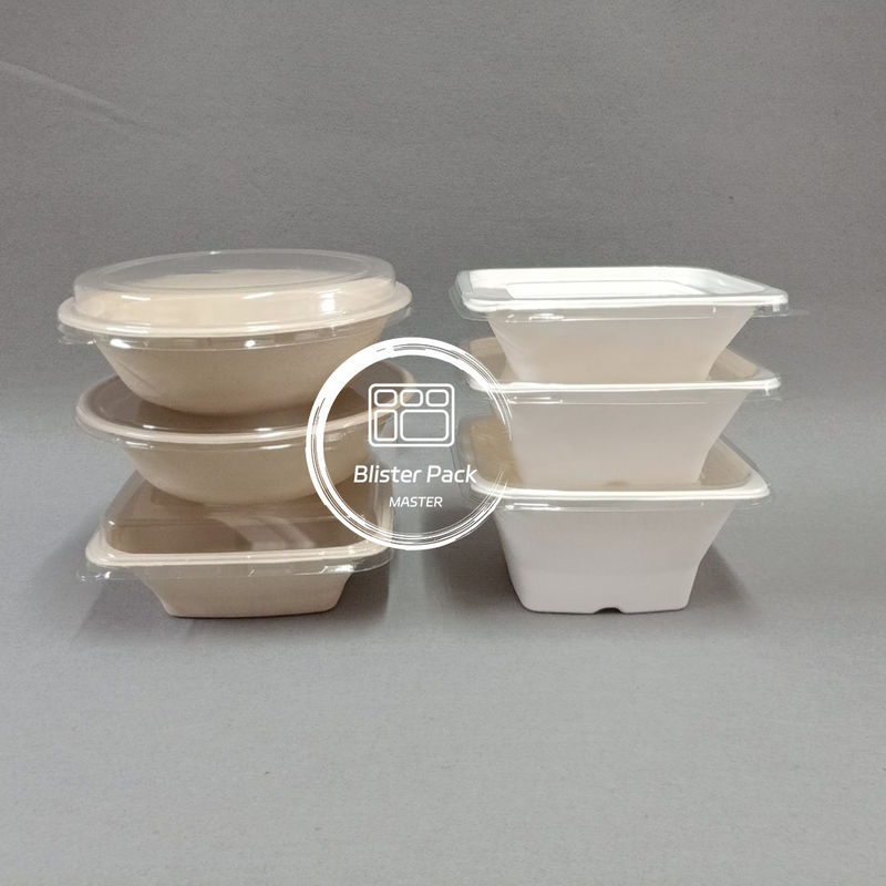 Des bols biodégradables de canne à sucre sans PFAS, des bols jetables de soupe et de salade de 8 oz à 32 oz