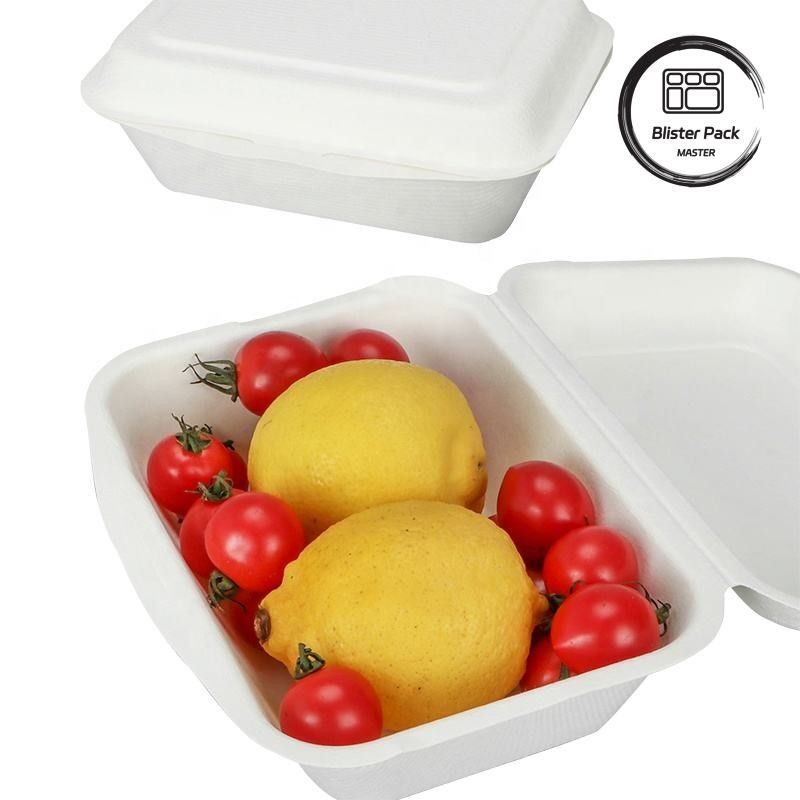Boîte à manger à base de canne à sucre de 9 pouces pour les hamburgers et les boulangeries