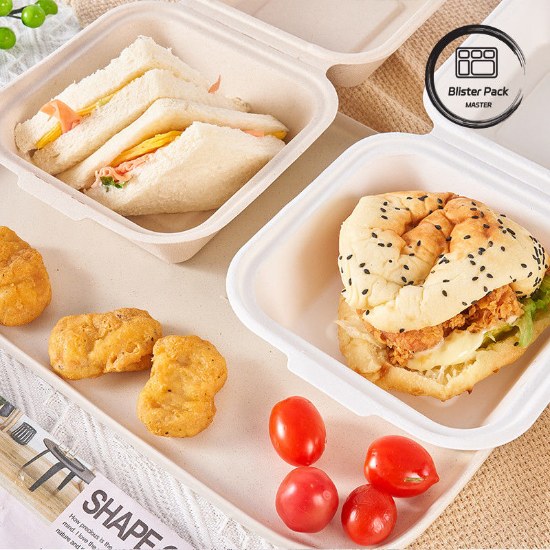 Boîte à manger à base de canne à sucre de 9 pouces pour les hamburgers et les boulangeries