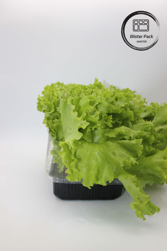 Jardin artificiel légumes et fruits Plateaux de semis en plastique parfaits pour la décoration