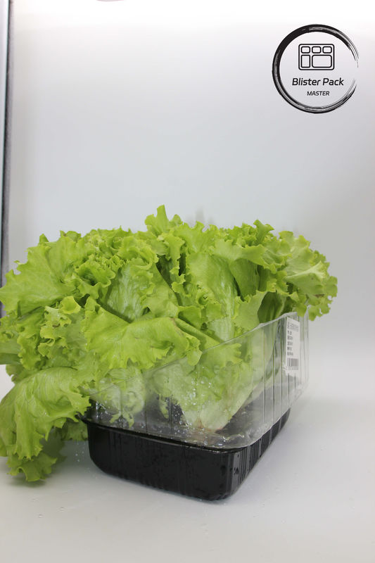 Jardin artificiel légumes et fruits Plateaux de semis en plastique parfaits pour la décoration