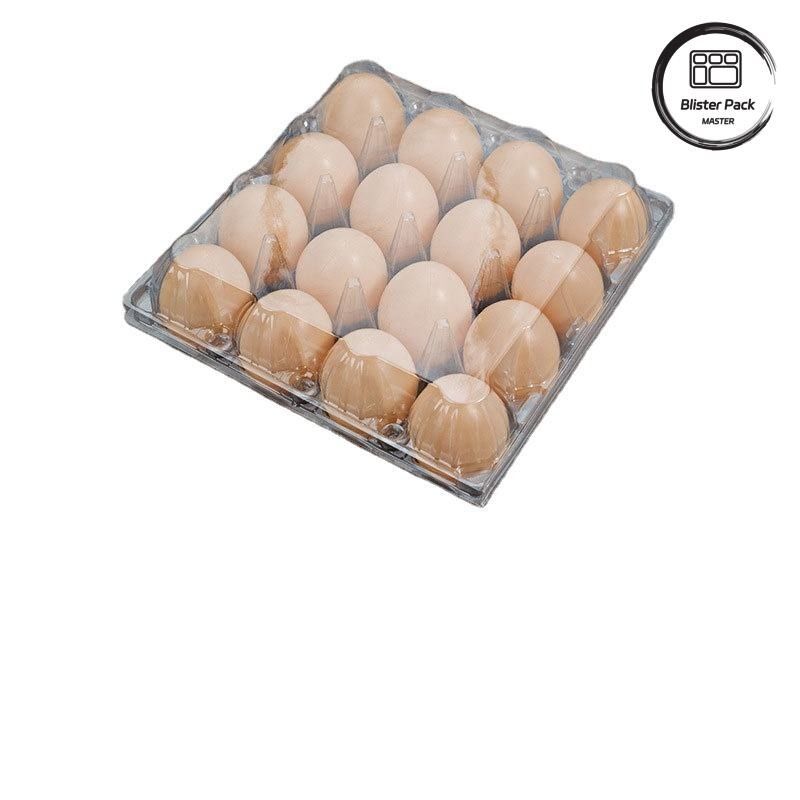 20/24/30 Cellule PET Plateau d'œufs en plastique transparent Plateau jetable d'œufs de poulet de caille Emballage avec couvercle
