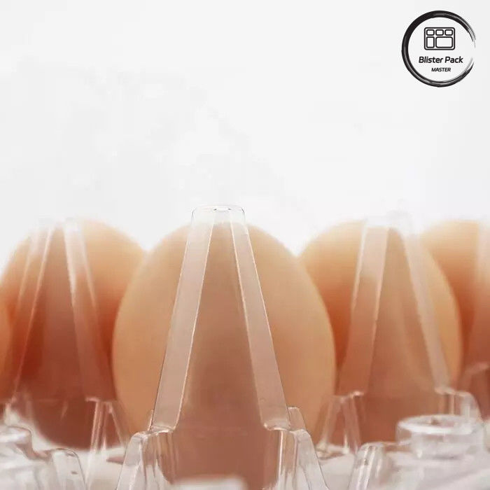 Taille personnalisée plateau à ampoules d'oeufs en PET plateaux en plastique à vide jetables