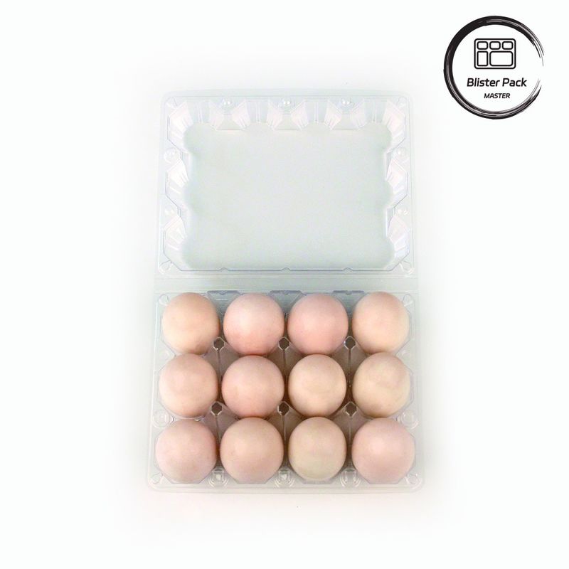 Plateau à œufs en plastique Contenant polyvalent avec 4 à 15 trous Plateaux thermoformés personnalisés transparents