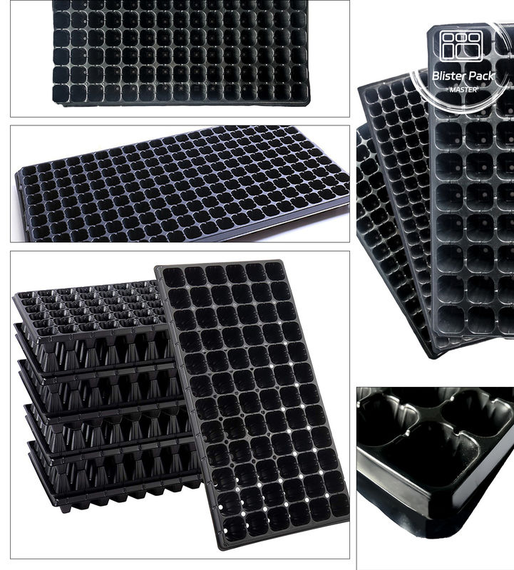Plateau de semis en plastique à 200 trous durable
