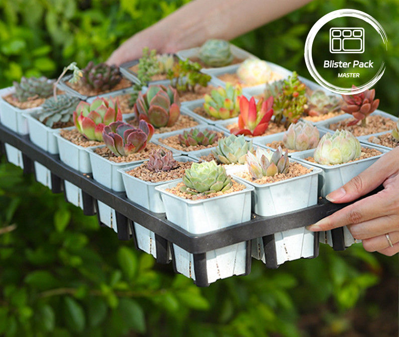 Plateau de plantation en plastique durable à 24 trous Plateau de culture de pot de pépinière succulente pour jardin