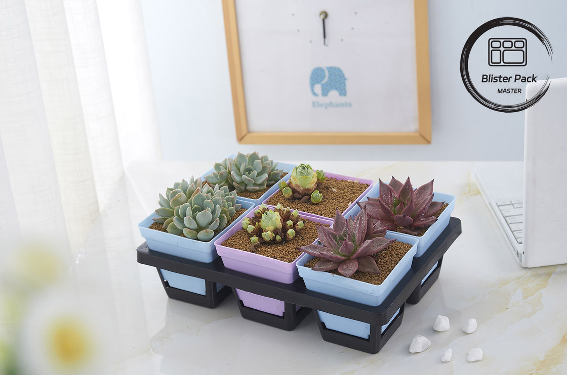Plateaux de semis en plastique de plusieurs tailles 6, 12, 20, 24, 40 cellules Durables pour le jardinage