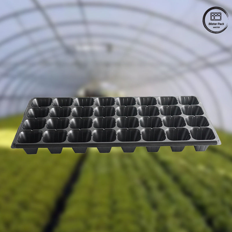 32/50/72/105/128/200 Plateau de semis en PET cellulaire pour la germination des plantes, plateaux de semis pour les jardins de légumes
