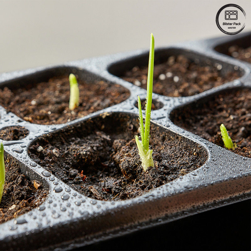 Plateau de semis pour la plantation d'arbres de jardin PS noir, plateau de germination dégradable à 50 cellules pour l'usage en pépinière