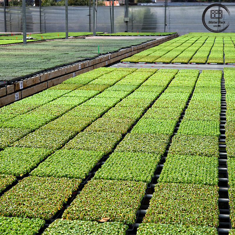 Plateau de semis pour la plantation d'arbres de jardin PS noir, plateau de germination dégradable à 50 cellules pour l'usage en pépinière